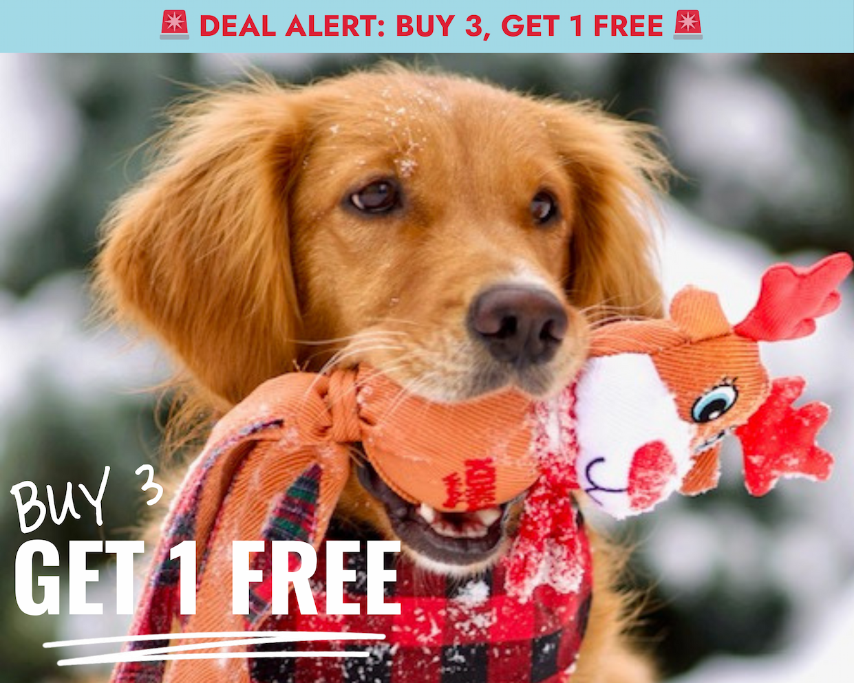 Deal alert: buy 3, get 1 free. Image of Golden Retriever holding Holiday Wubba in mouth.