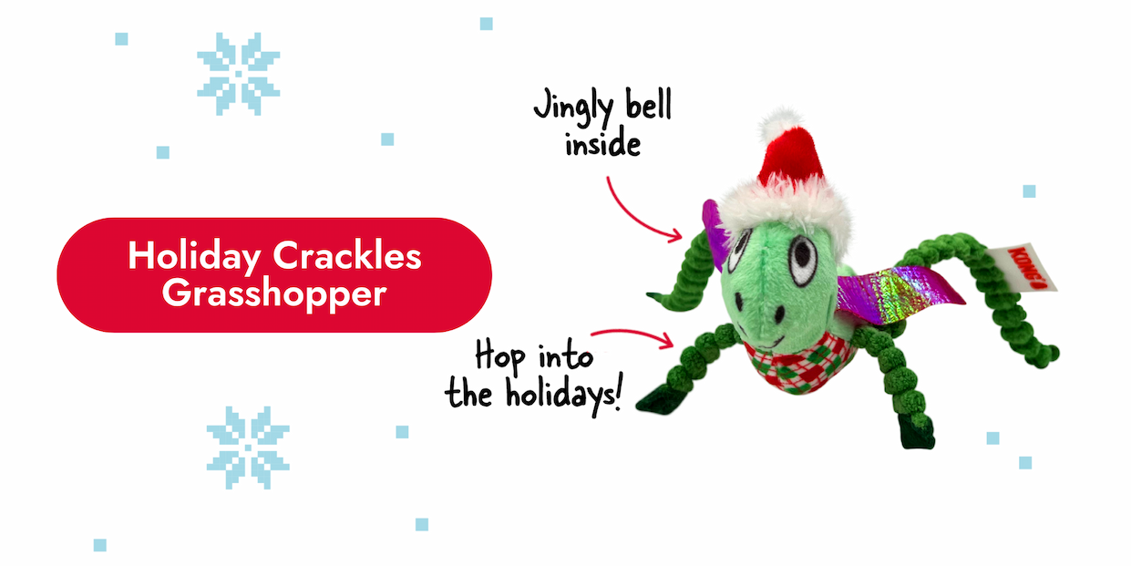 Image of the Holiday Crackles Grasshopper with arrows pointing to it that say "Jingly bell inside and hop into the holidays"