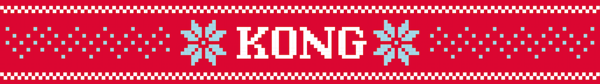 KONG logo