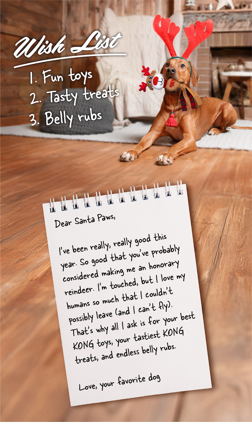 A wish list 1. Fun toys 2. Tasty treats 3. Belly rubs. "Dear Santa Paws, I've been really, really good this year. So good that you've probably considered making me an honorary reindeer. I'm touched, but I love my humans so much that I couldn't possibly leave (and I can't fly). That's why all I ask is for your best KONG toys, your tastiest KONG treats, and endless belly rubs. Love, your favorite dog"