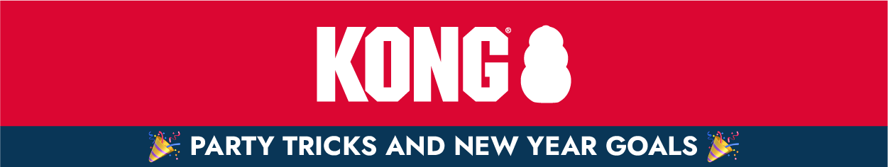 KONG logo with "Party tricks and new year goals"