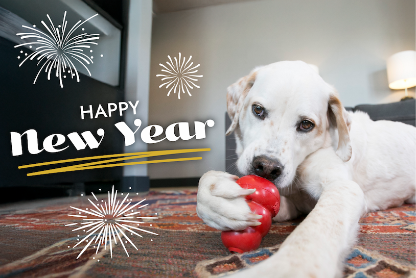 Image of white dog licking a KONG Classic. "Happy New Year" with fireworks.