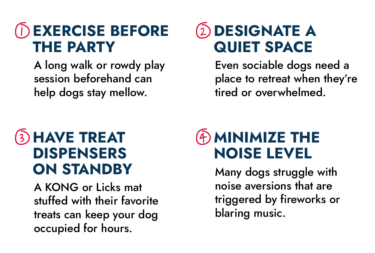 1. Exercise before the party. A long walk or rowdy play session beforehand can help dogs stay mellow. 2. Designate a quiet space. Event sociable dogs need a place to retreat when they're tired or overwhelmed. 3. Have treat dispensers on standby. A KONG or Licks mat stuffed with their favorite treats can keep your dog occupied for hours. 4. Minimize the noise level. Many dogs struggle with noise aversions that are triggered by fireworks or blaring music.