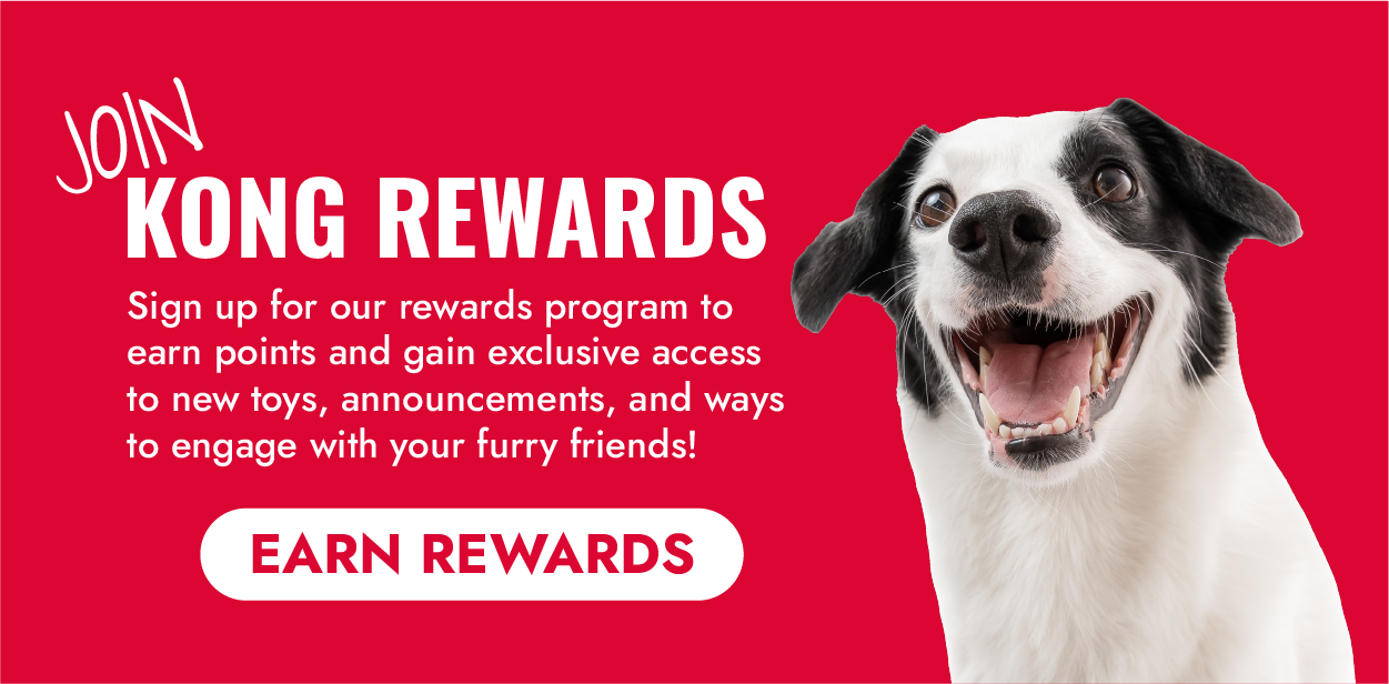 KONG Rewards: Sign up to earn rewards