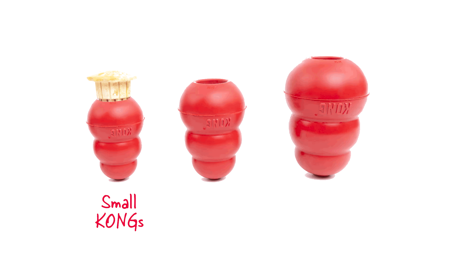 Gif showing how Corkz fit in small, medium, and large KONG