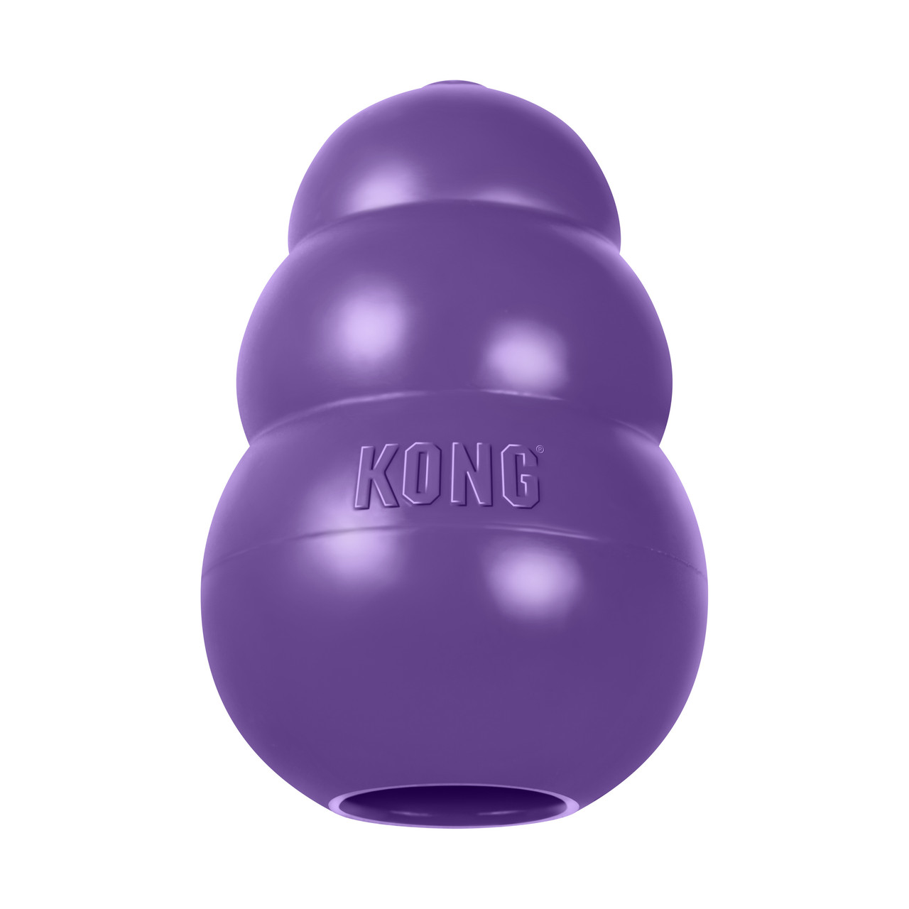 Image of KONG Senior