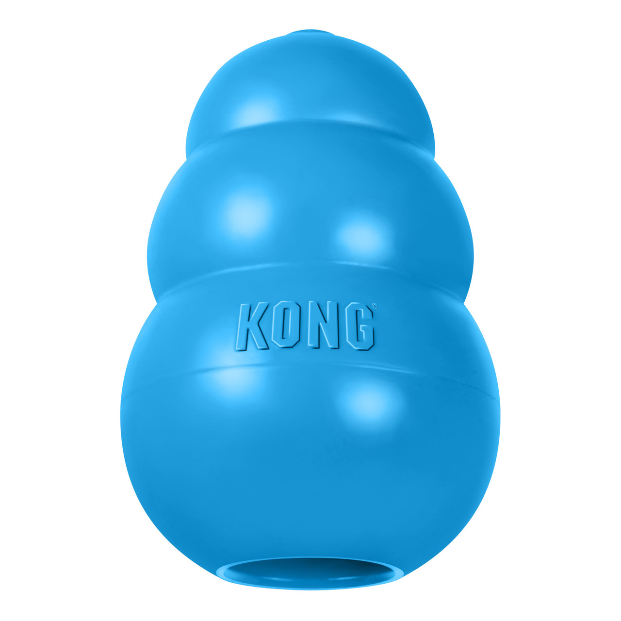 Image of KONG Puppy Blue