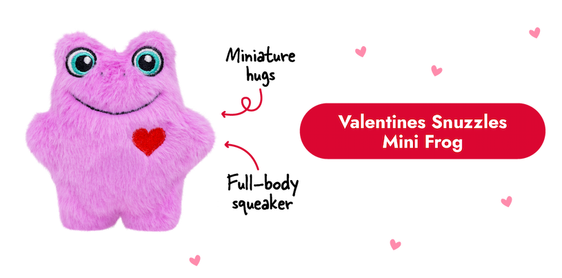 Image of the Valentines Snuzzles Mini Frog with arrows pointing to it that say "miniature hugs and full-body squeaker"