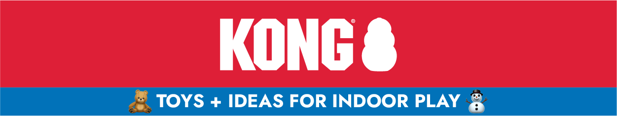 KONG logo with "Toys + Ideas for Indoor Play"