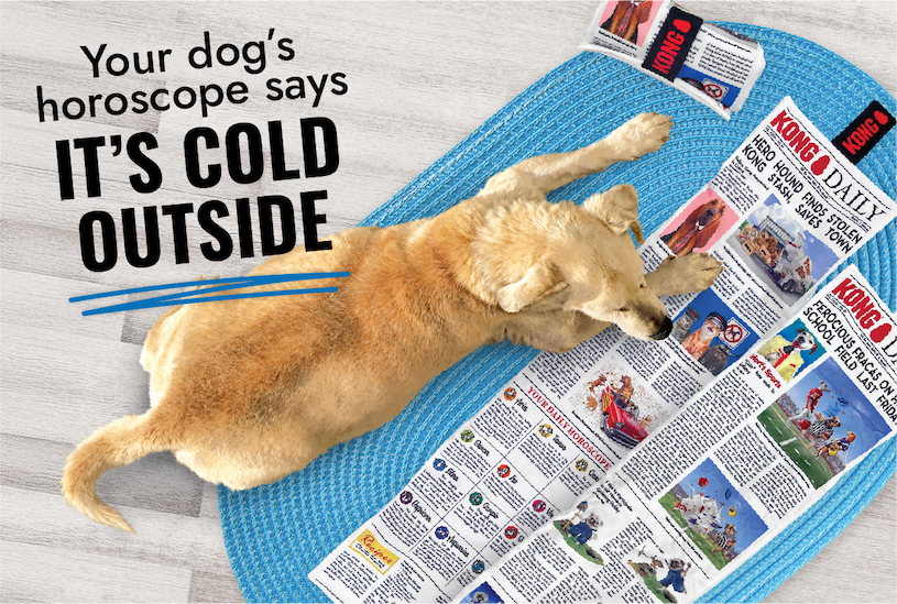 Image of Yellow Lab reading the KONG Daily "Your dog's horoscope says it's cold outside"