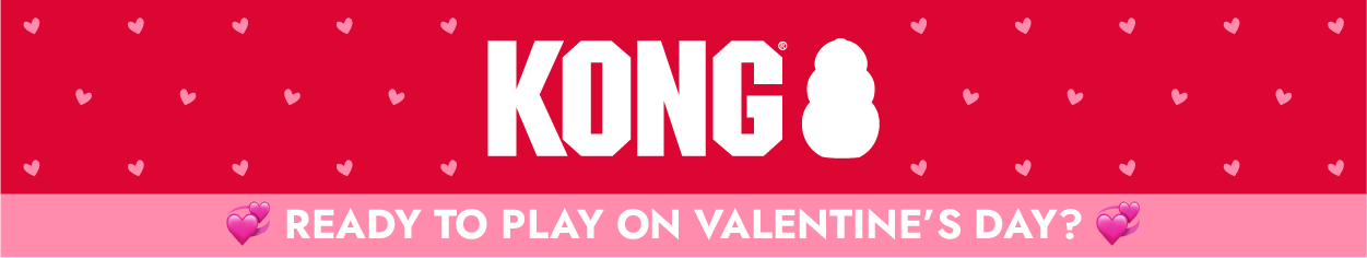 KONG logo with "Ready to play on Valentine's Day?"