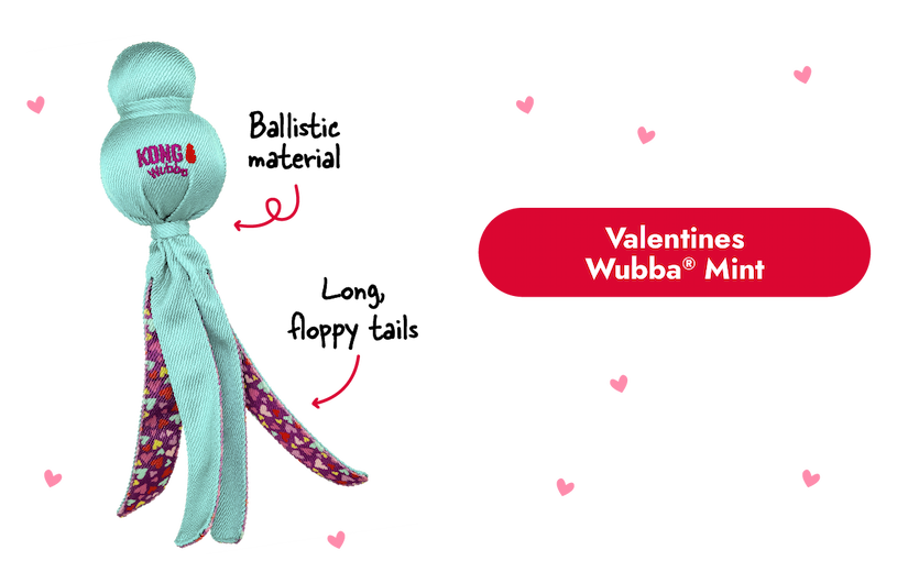 Image of the Valentines Wubba with arrows pointing to it that say "Ballistic material and long, floppy tails"
