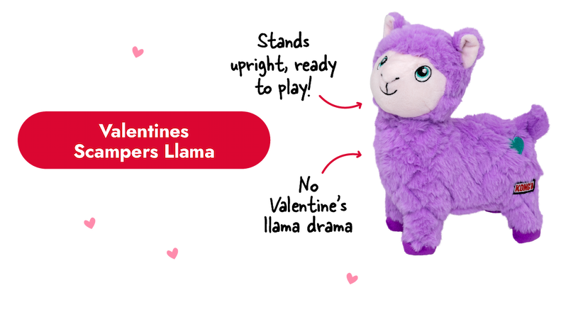 Image of the Valentines Scampers Llama with arrows pointing to it that say "stands upright, ready to play! and no Valentine's llama drama"