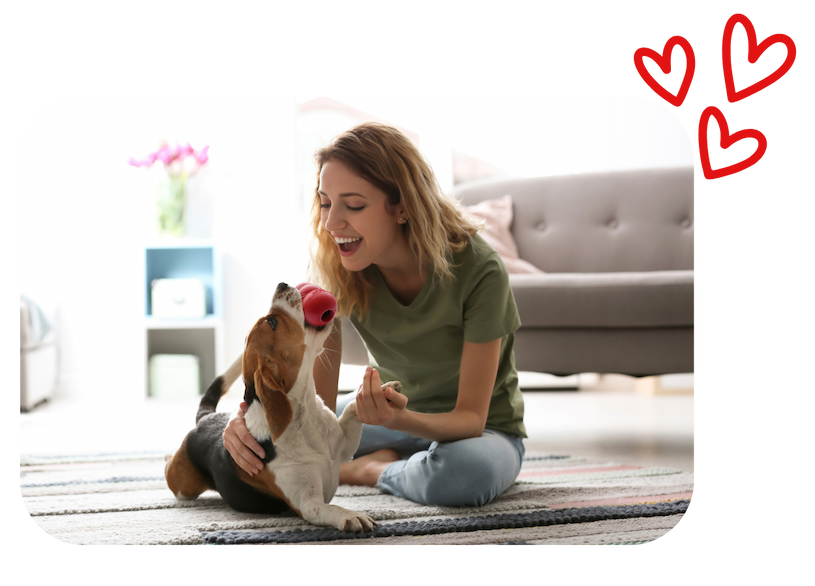 Image of owner and dog on the ground playing with the KONG Classic