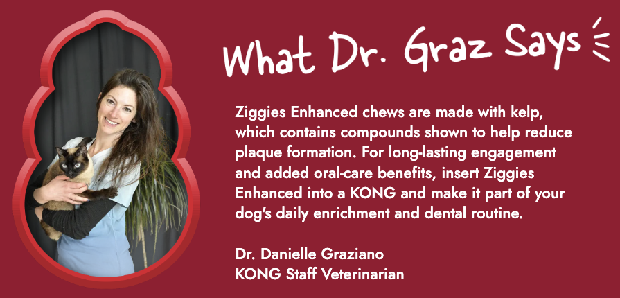 Image of Dr. Danielle Graziano, DVM "Ziggies Enhanced chews are made with kelp, which contains compounds shown to help reduce plaque formation. For long-lasting engagement and added oral-care benefits, insert Ziggies Enhanced into a KONG and make it part of your dog's daily enrichment and dental routine." Dr. Danielle Graziano, KONG Staff Veterinarian 