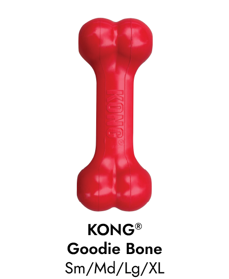 Image of Classic KONG Goodie Bone