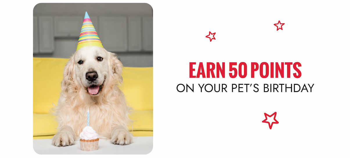 Earn 50 points on your pet's birthday