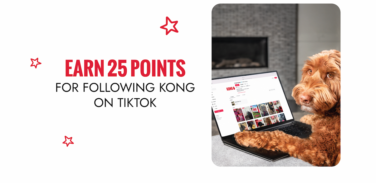 Earn 25 points for following KONG on TikTok