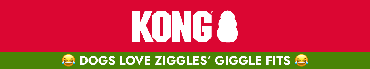 KONG logo and "Dogs Love Ziggles' Giggle Fits"