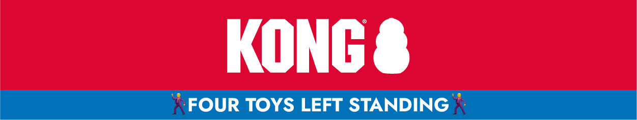 KONG logo and "Four toys left standing"