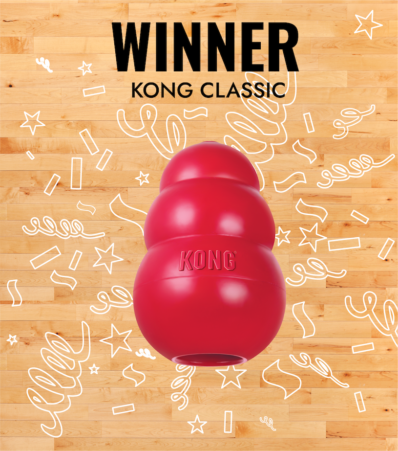 Image of the KONG Class as the winner of the bracket