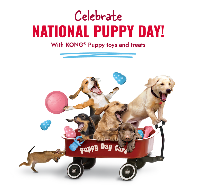 Image of puppies in a red wagon with KONG puppy toys. "Celebrate National Puppy Day! With KONG Puppy toys and treats"