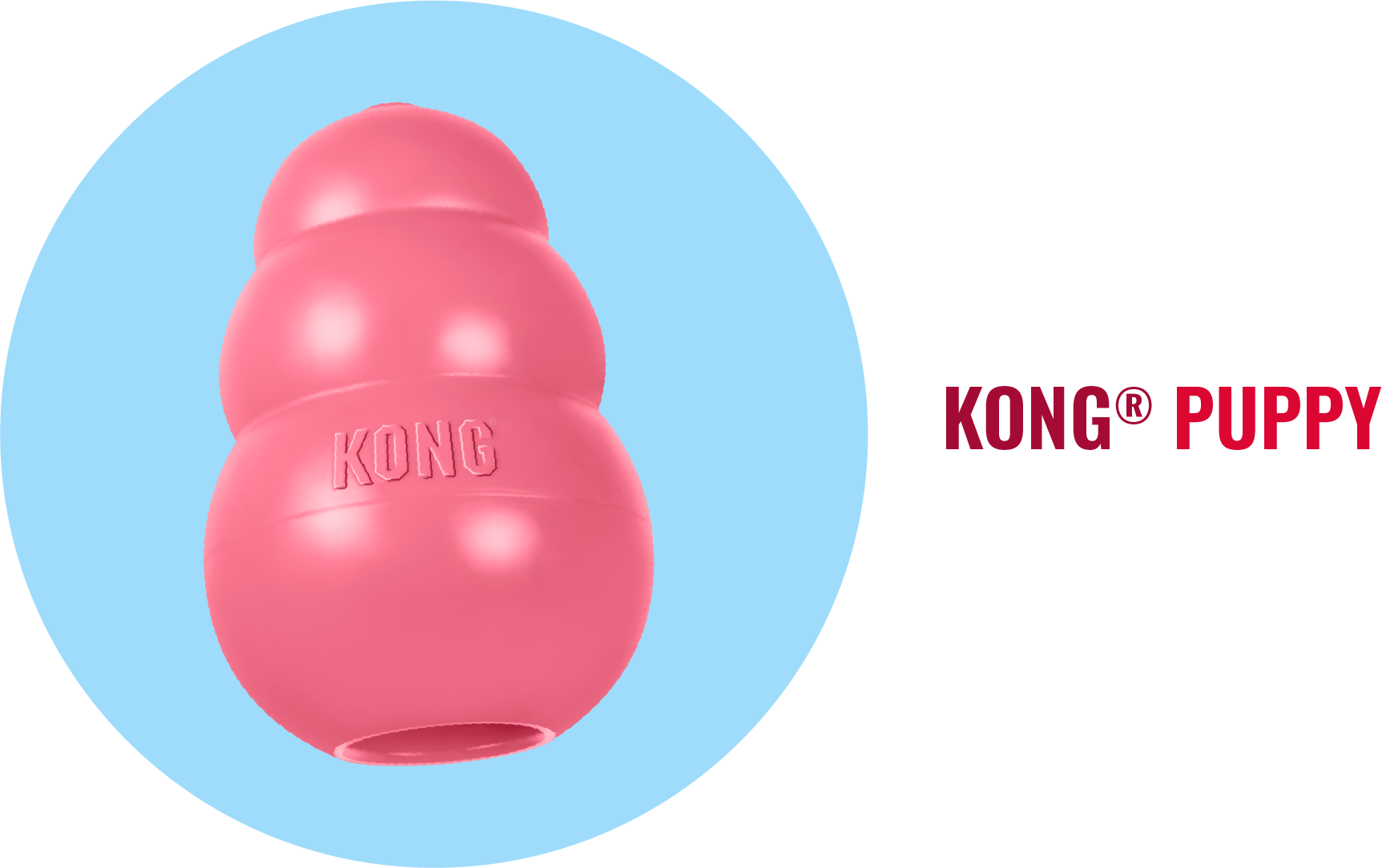 Image of pink KONG Puppy