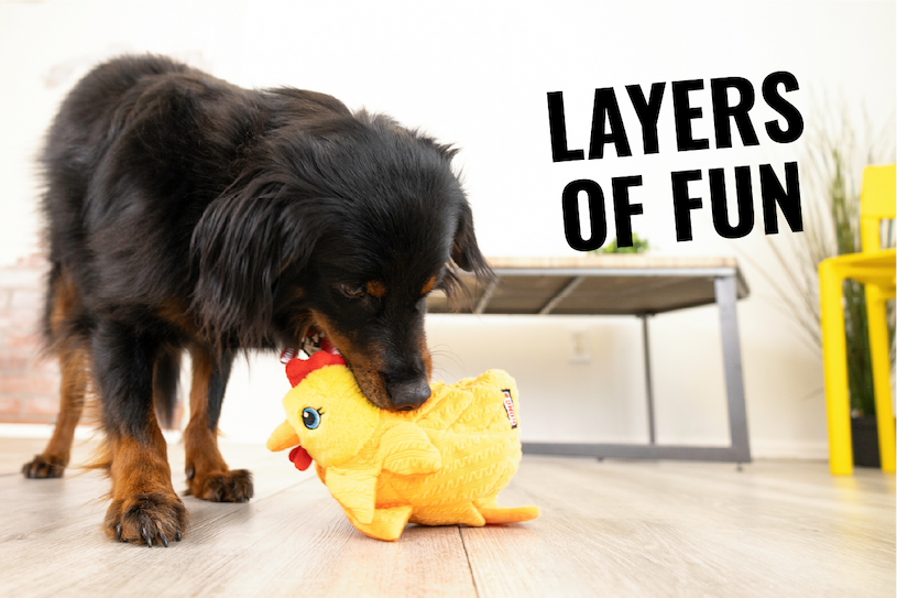 Image of black and brown dog playing with yellow Layerz Forage Hen inside. "Layers of fun"
