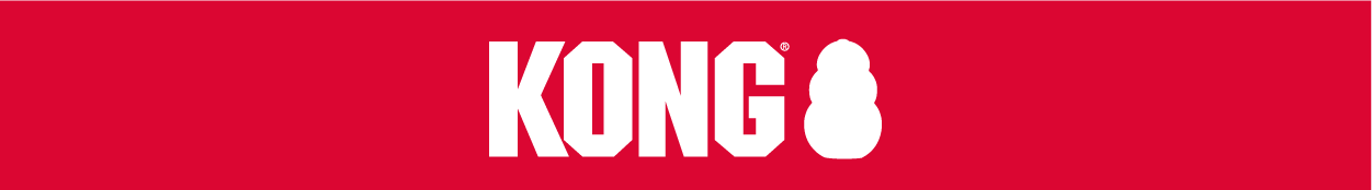 KONG logo 