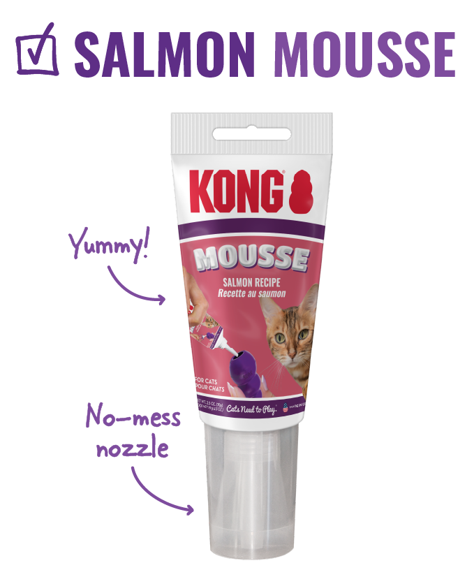 Image of Salmon Mousse with arrows pointing to it that say "yummy! and no-mess nozzle"