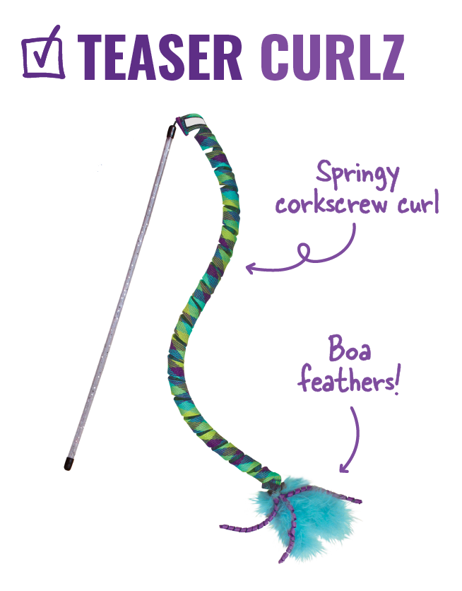 Image of Teaser Curlz with arrows pointing to it that say "springy corkscrew curl, boa feathers!"