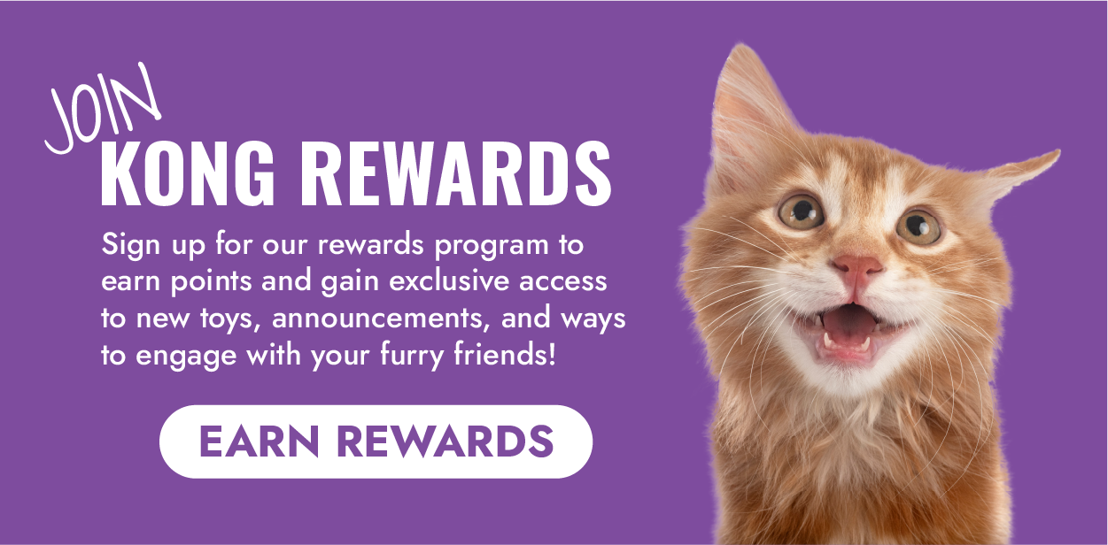 KONG Rewards: Sign up to earn rewards
