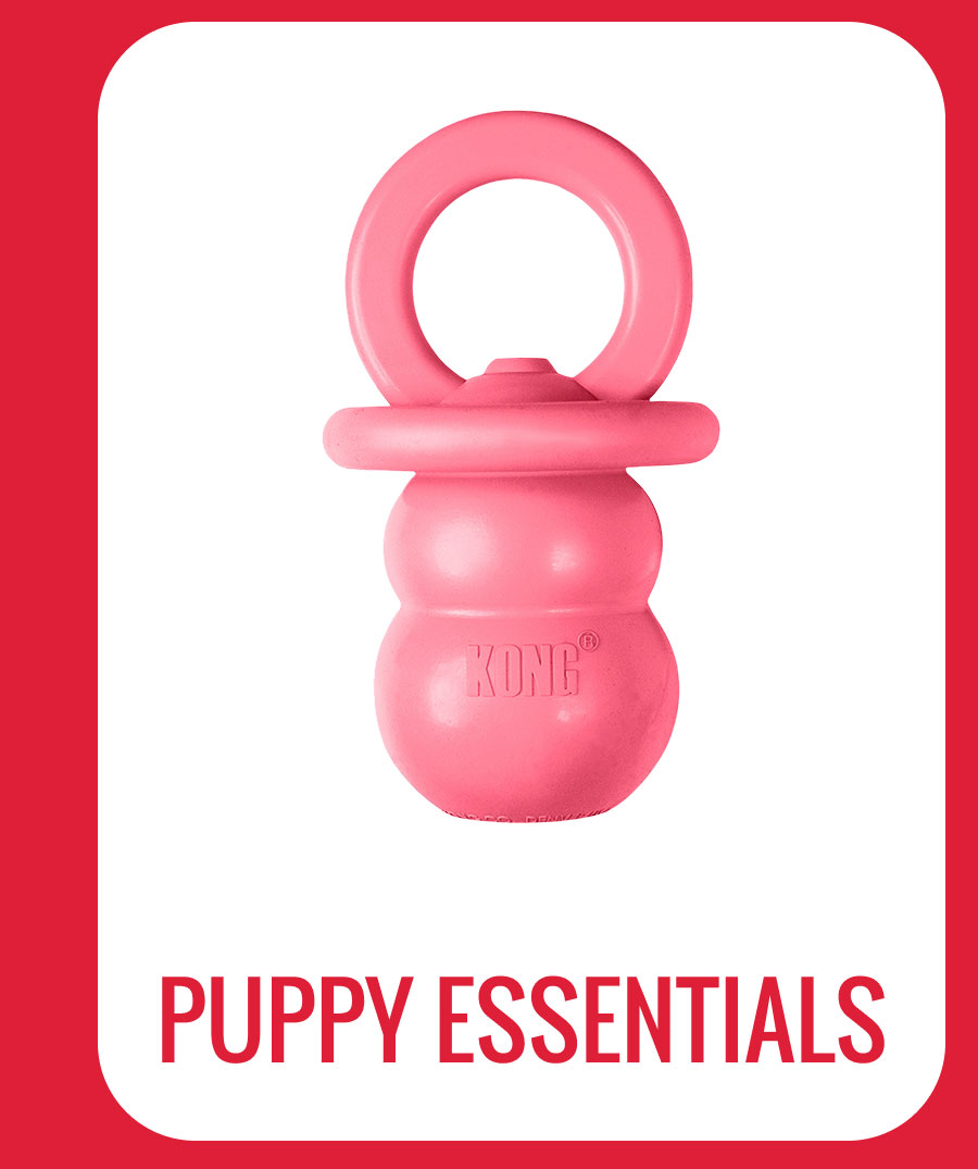 Puppy Essentials