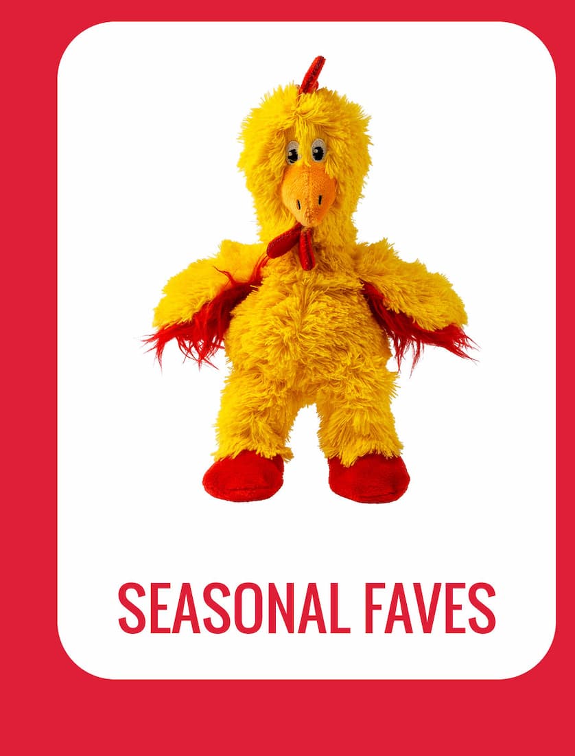 Seasonal Faves