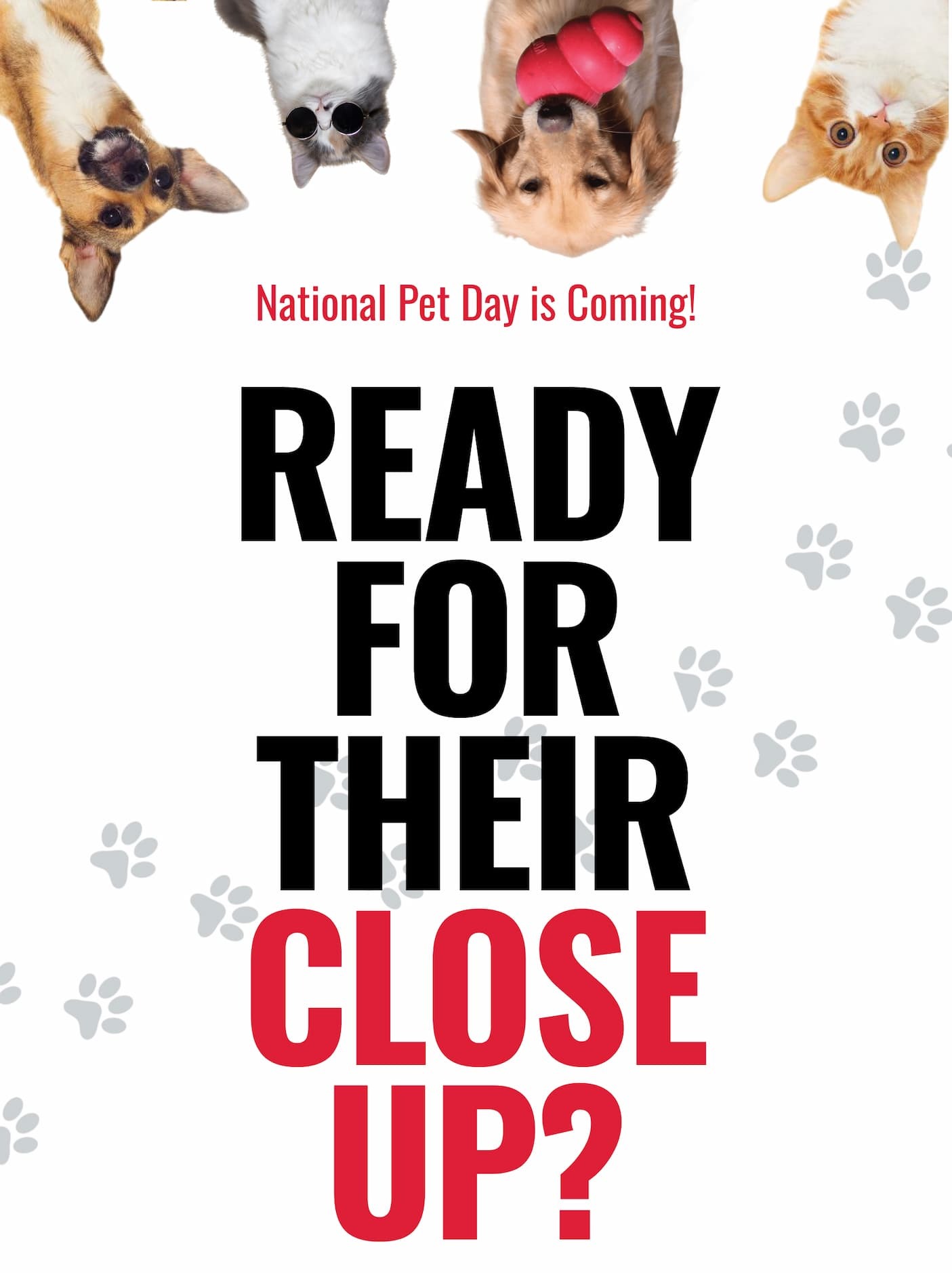 National Pet Day is coming and we want to see your pet!