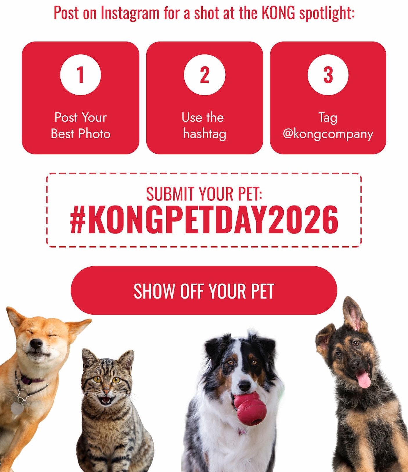 Post your pet on Instagram and use the tag #KONGPETDAY2026 for a chance to be featured!