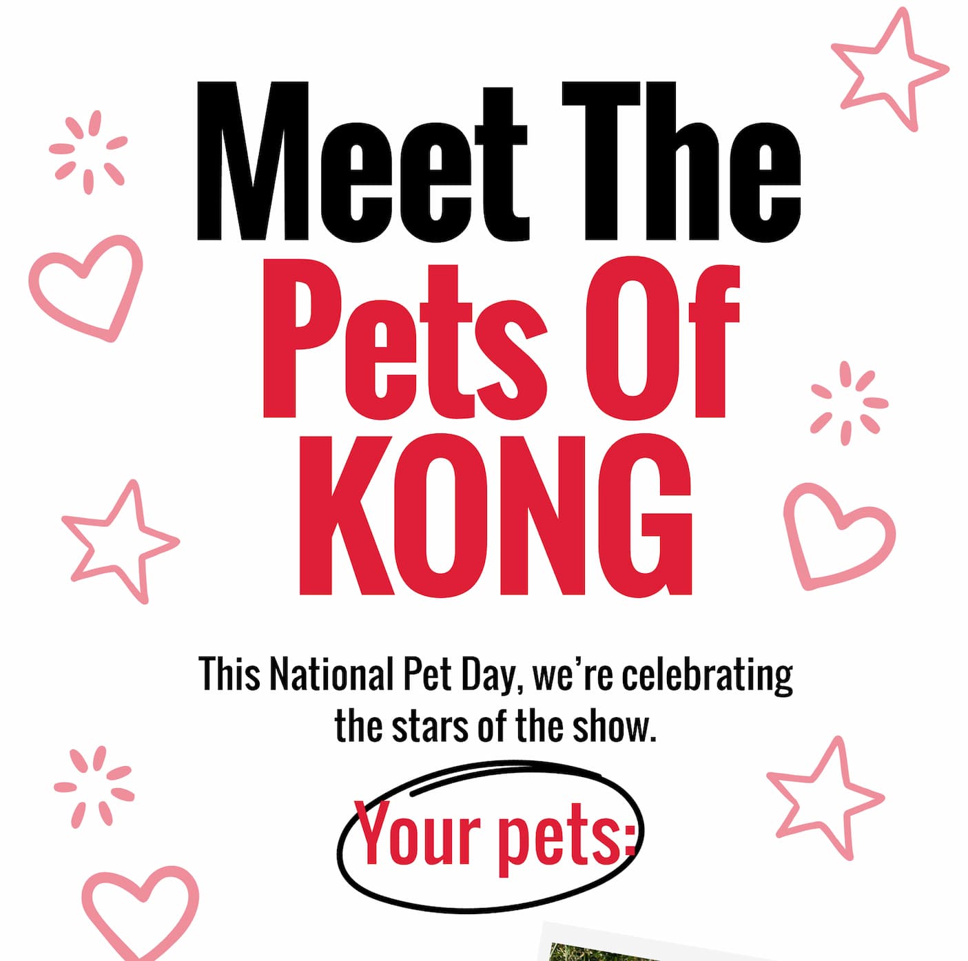 This National Pet Day, we’re celebrating the stars of the show. Your pets: