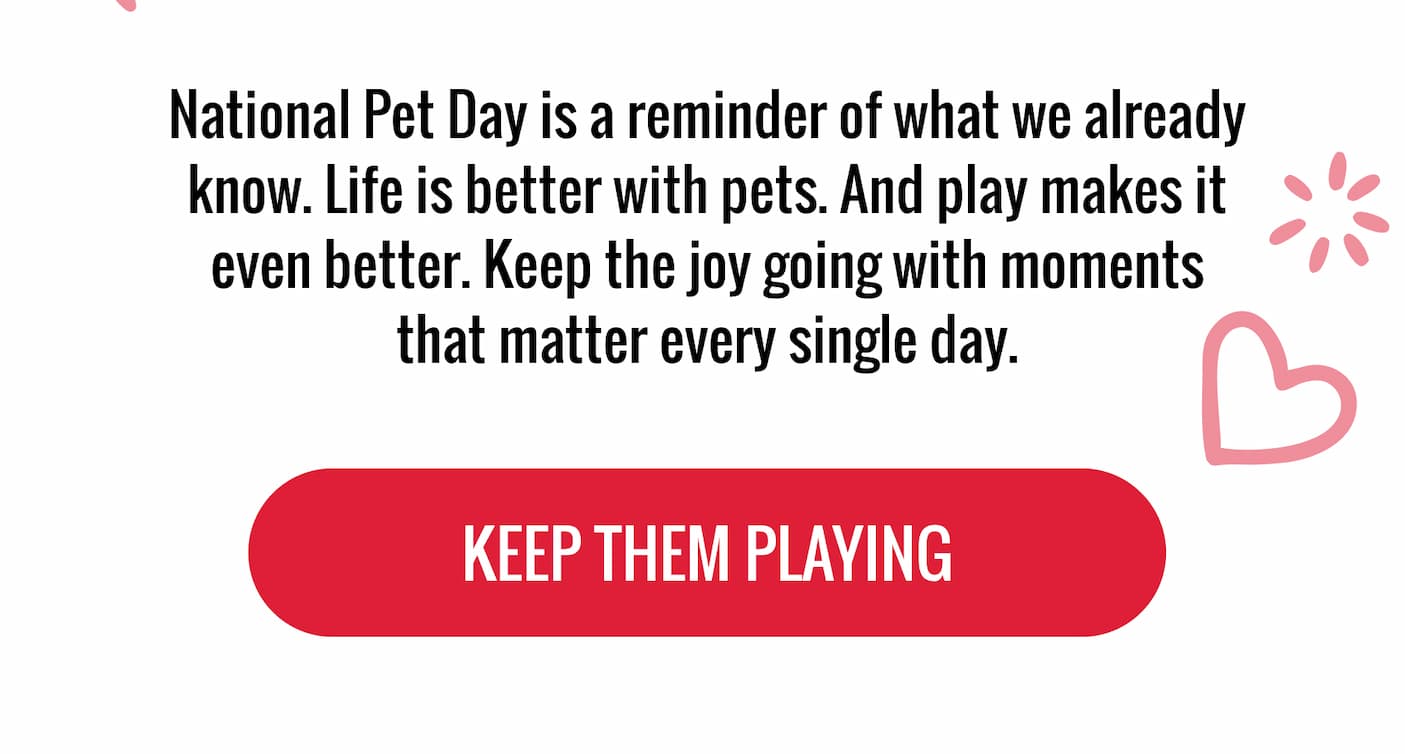 Life is better with pets. And play makes it even better. Keep the joy going with moments that matter every single day.