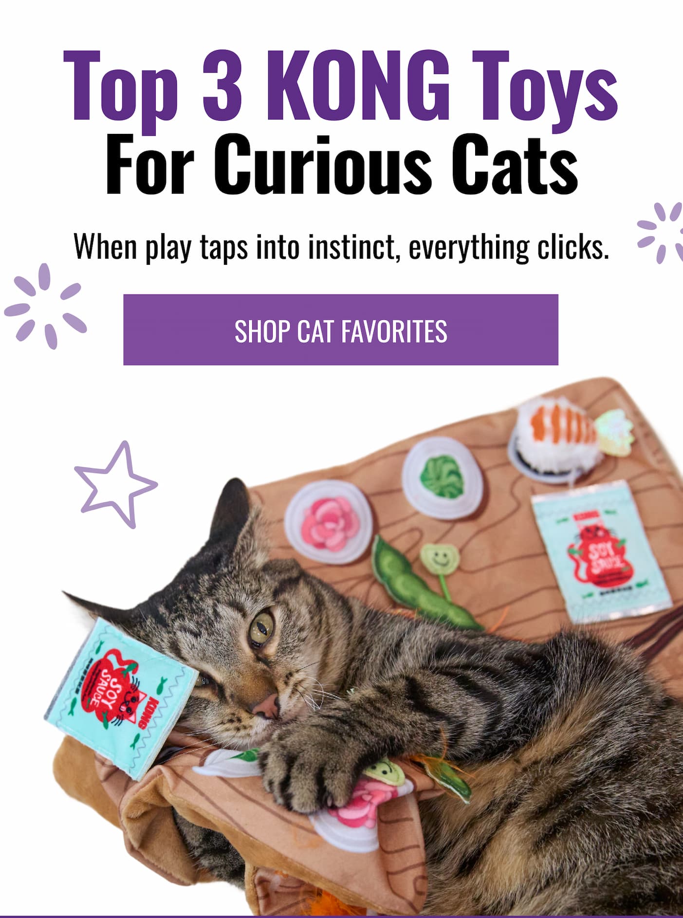 Top 3 KONG Toys for Curious Cats