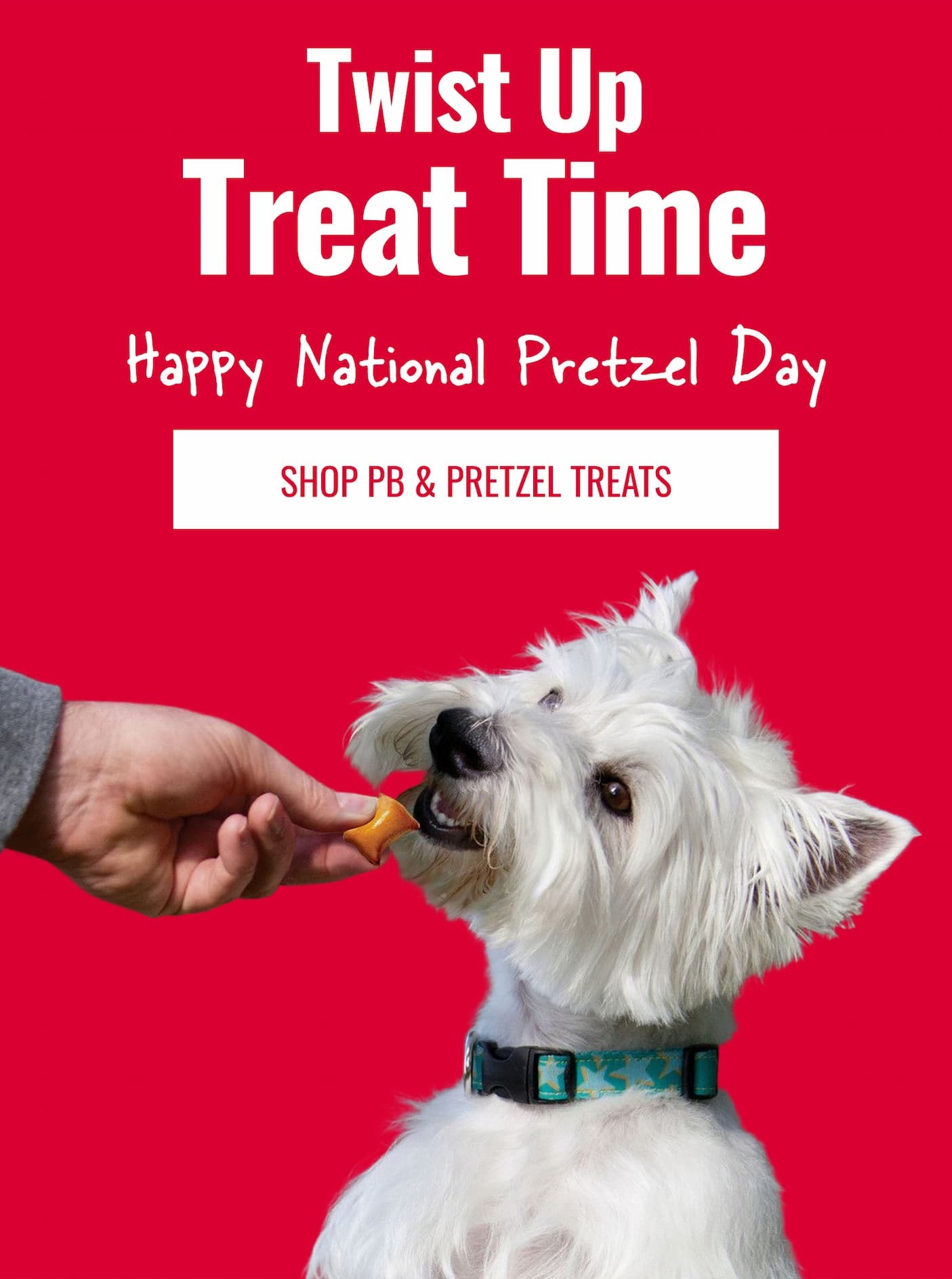 Twist Up Treat Time - Happy National Pretzel Day