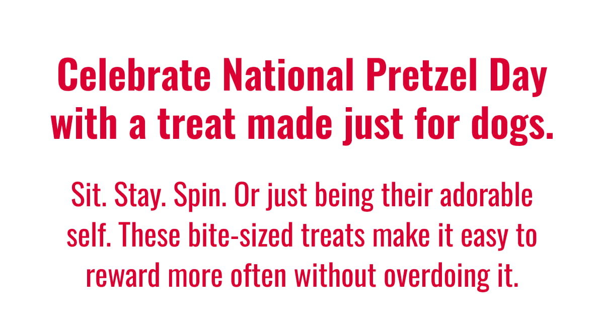 Celebrate National Pretzel Day with a treat made just for dogs. 