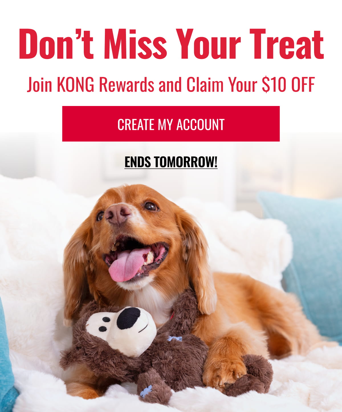 Don’t Miss Your Treat. Join KONG Rewards and Claim Your $10 OFF