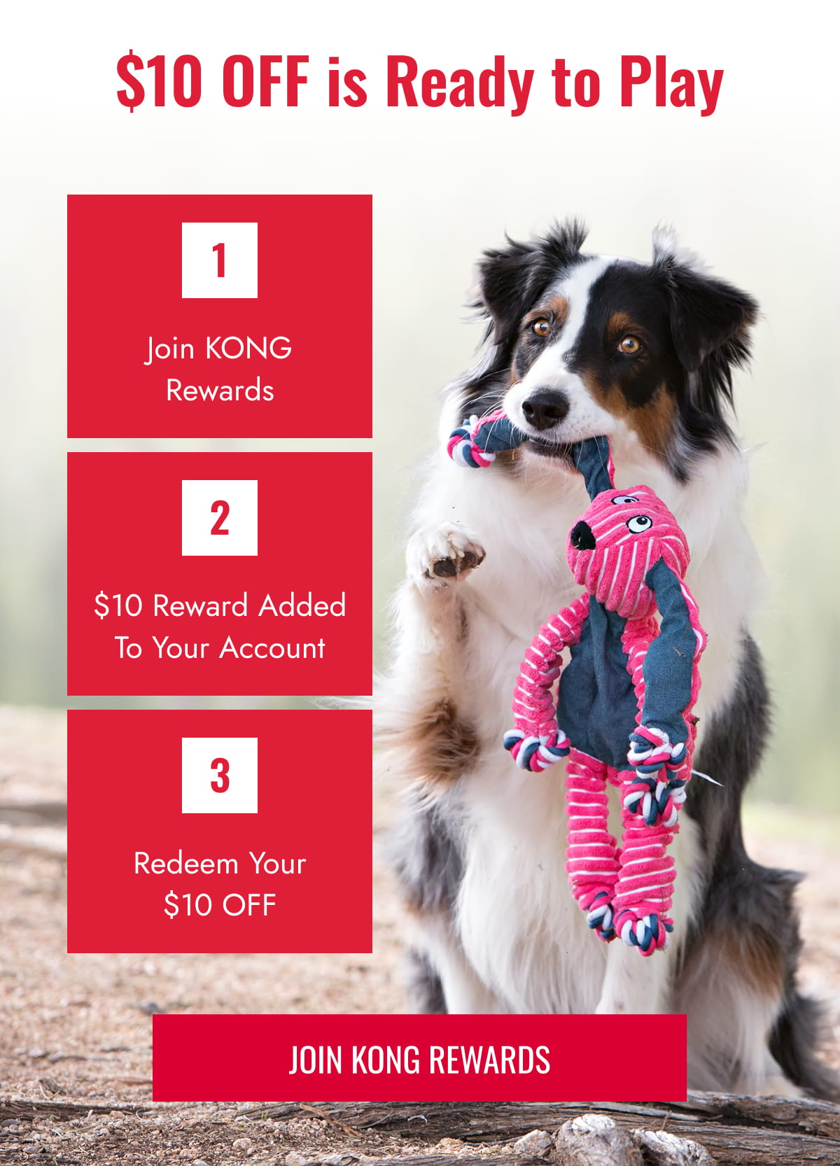 $10 off is ready to play