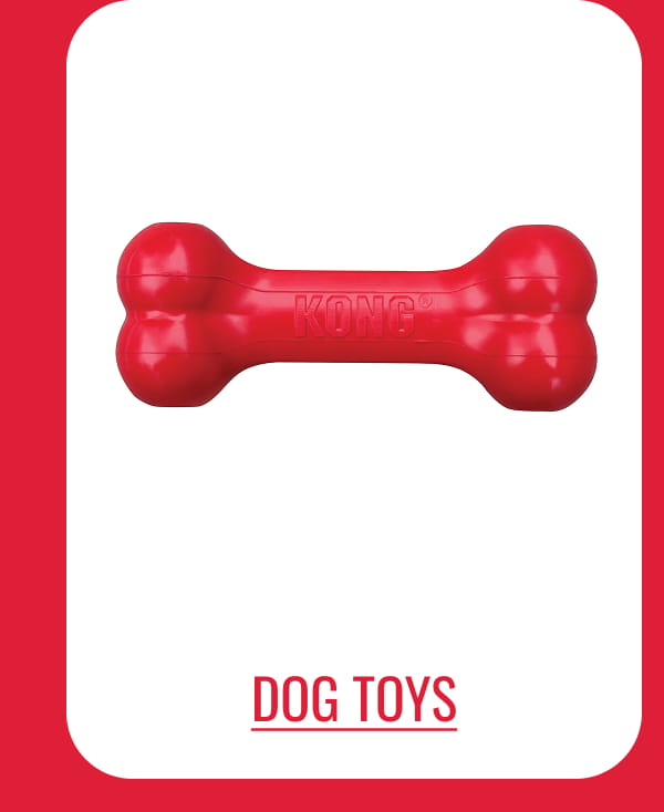 Dog Toys