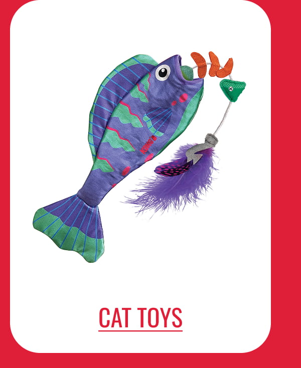 Cat Toys