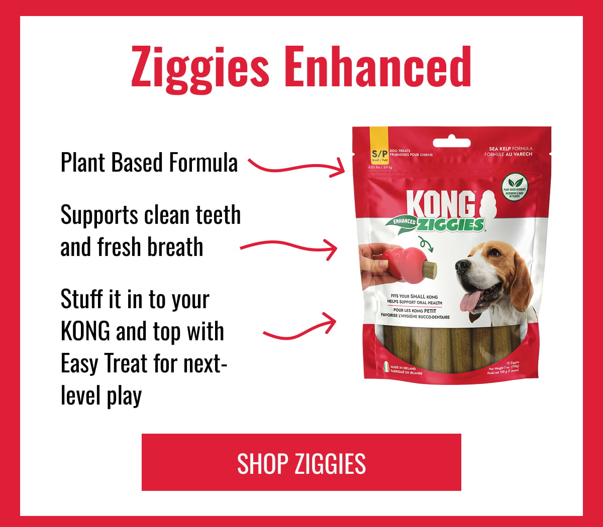Ziggies