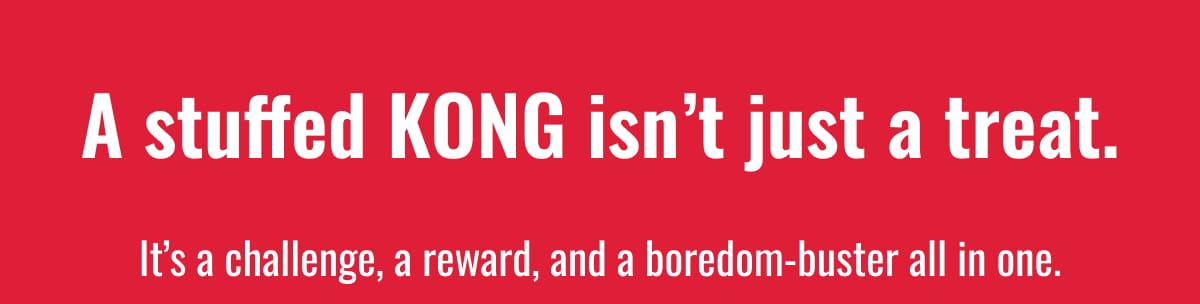 A stuffed KONG isn't just a treat
