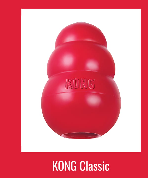 KONG Classic