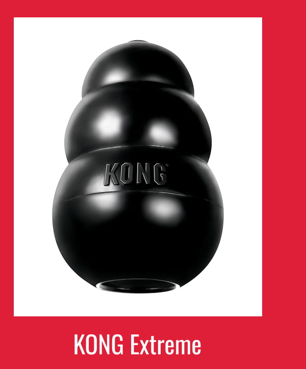 KONG Extreme