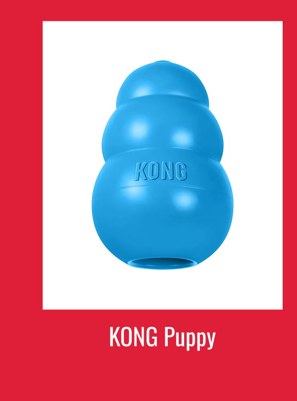 KONG Puppy